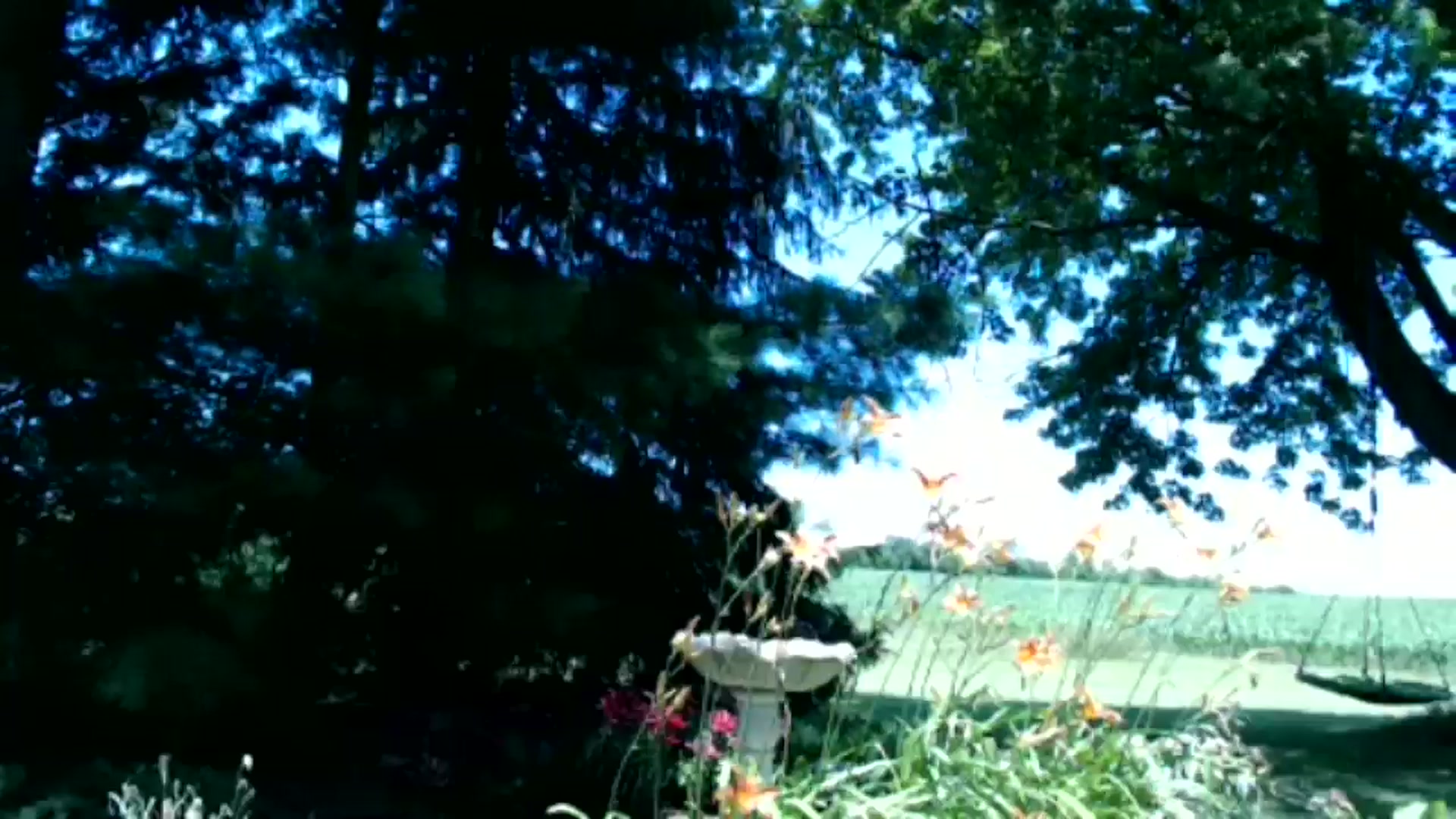 FarmGirl__ video thumbnail