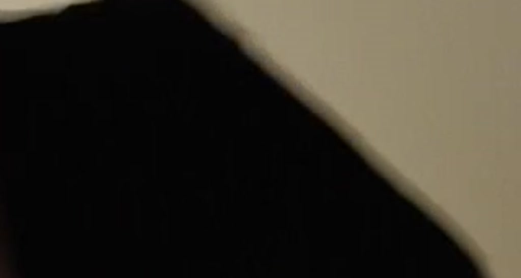 LeilaniLi video thumbnail