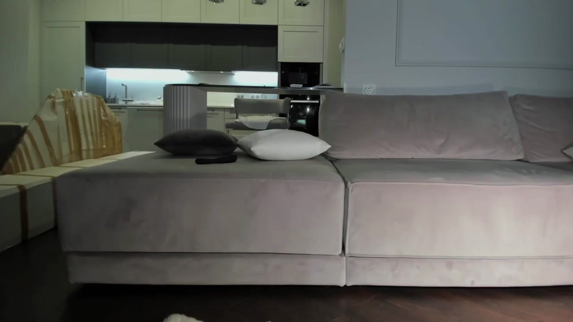 Smart_Cat video thumbnail
