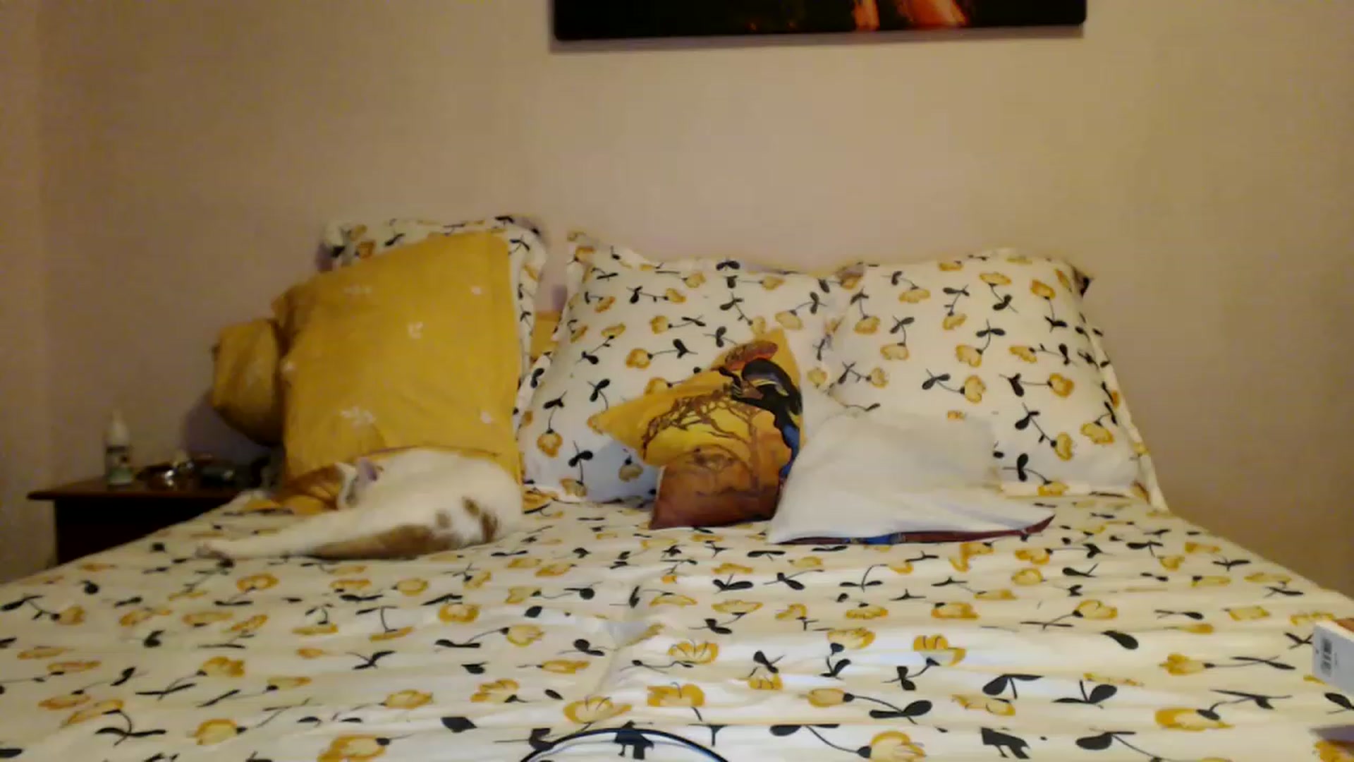 Aahh_Emilia video thumbnail