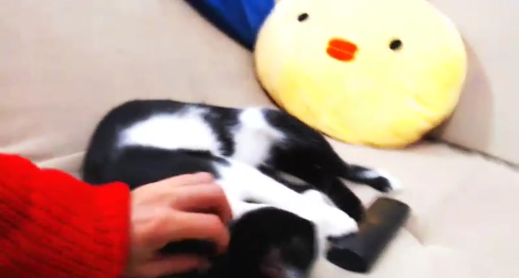 Moni_K video thumbnail