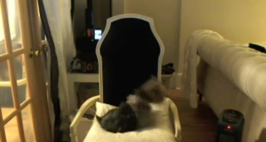MsRyan video thumbnail
