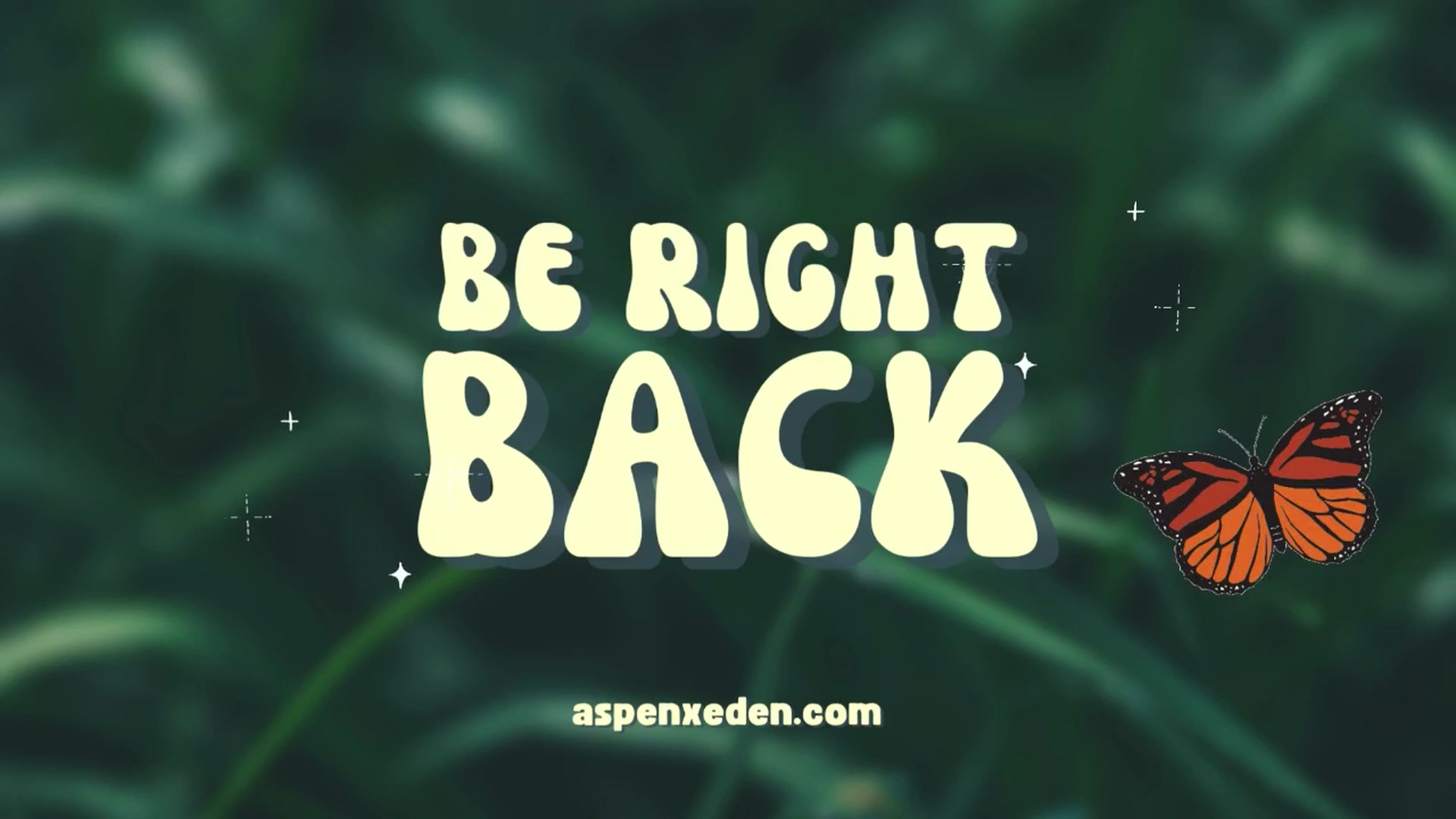 AspenEden video thumbnail