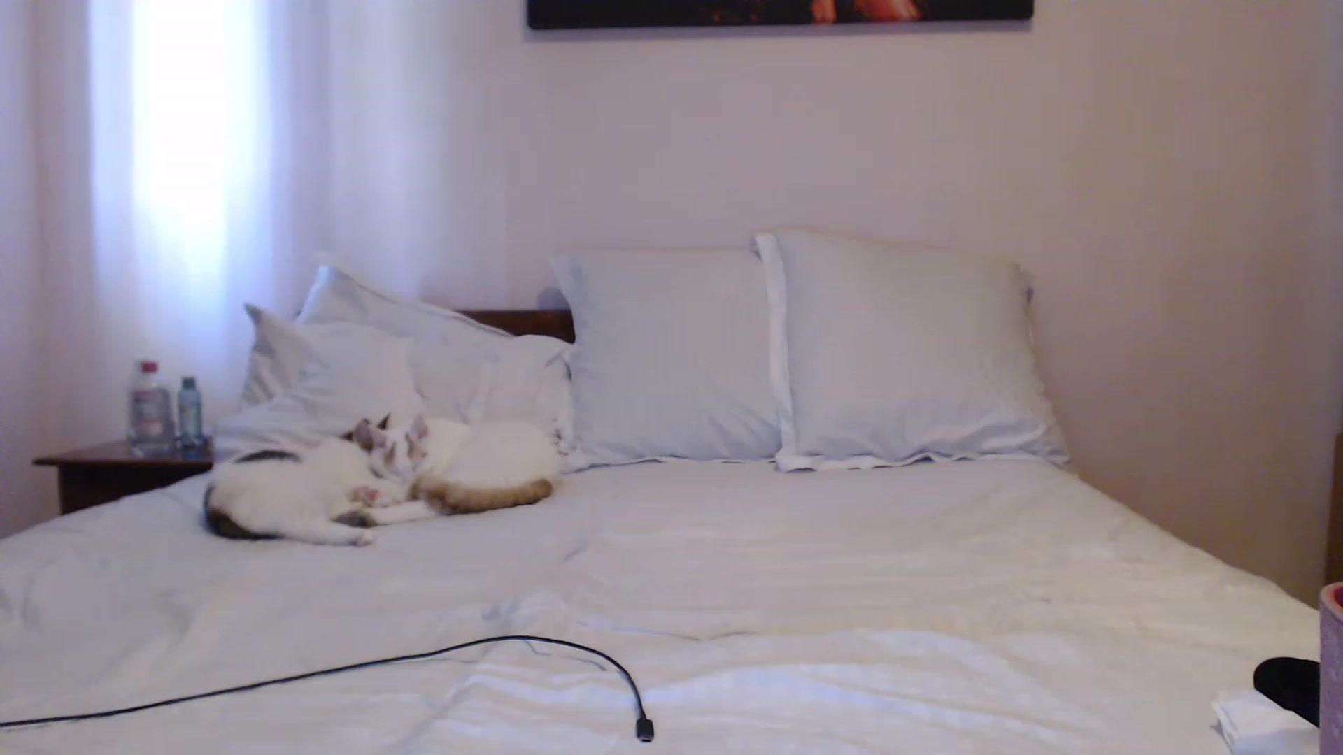 Aahh_Emilia video thumbnail