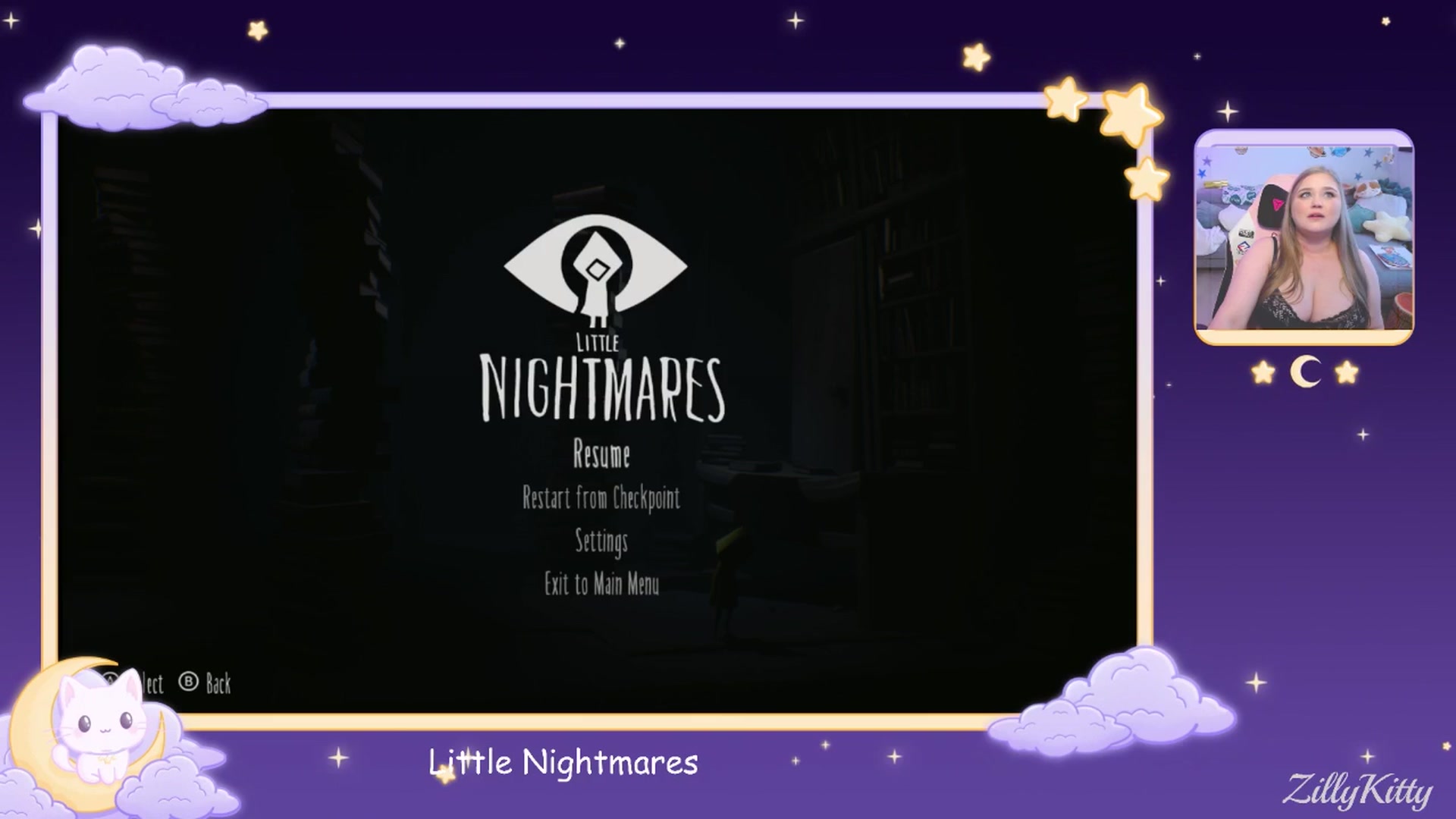ZillyKitty video thumbnail