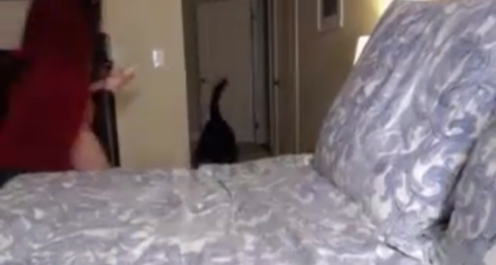 TityTityBang_ video thumbnail