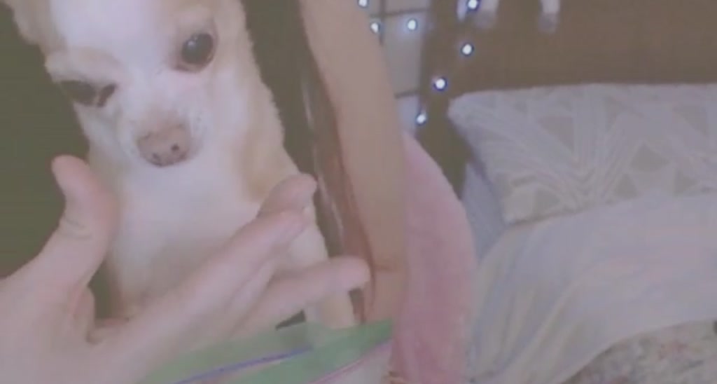 Soapy video thumbnail