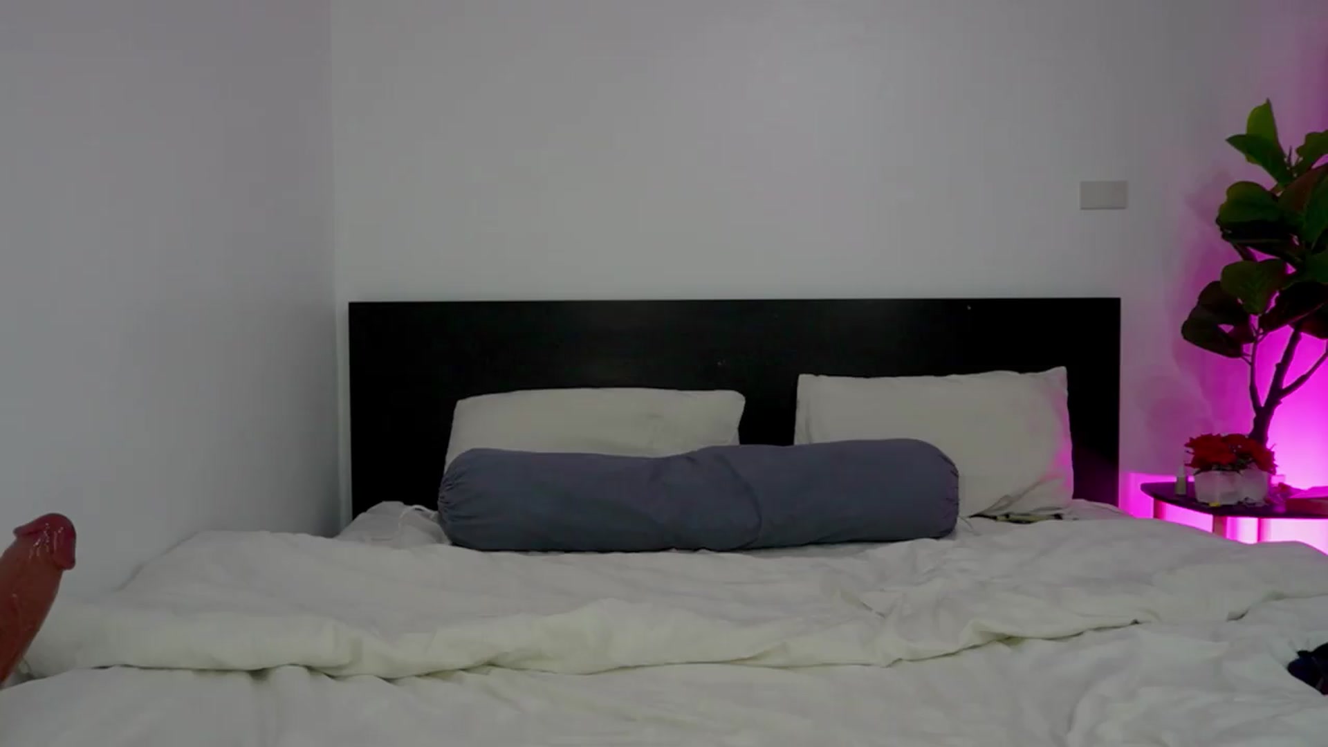 Heeykitty video thumbnail