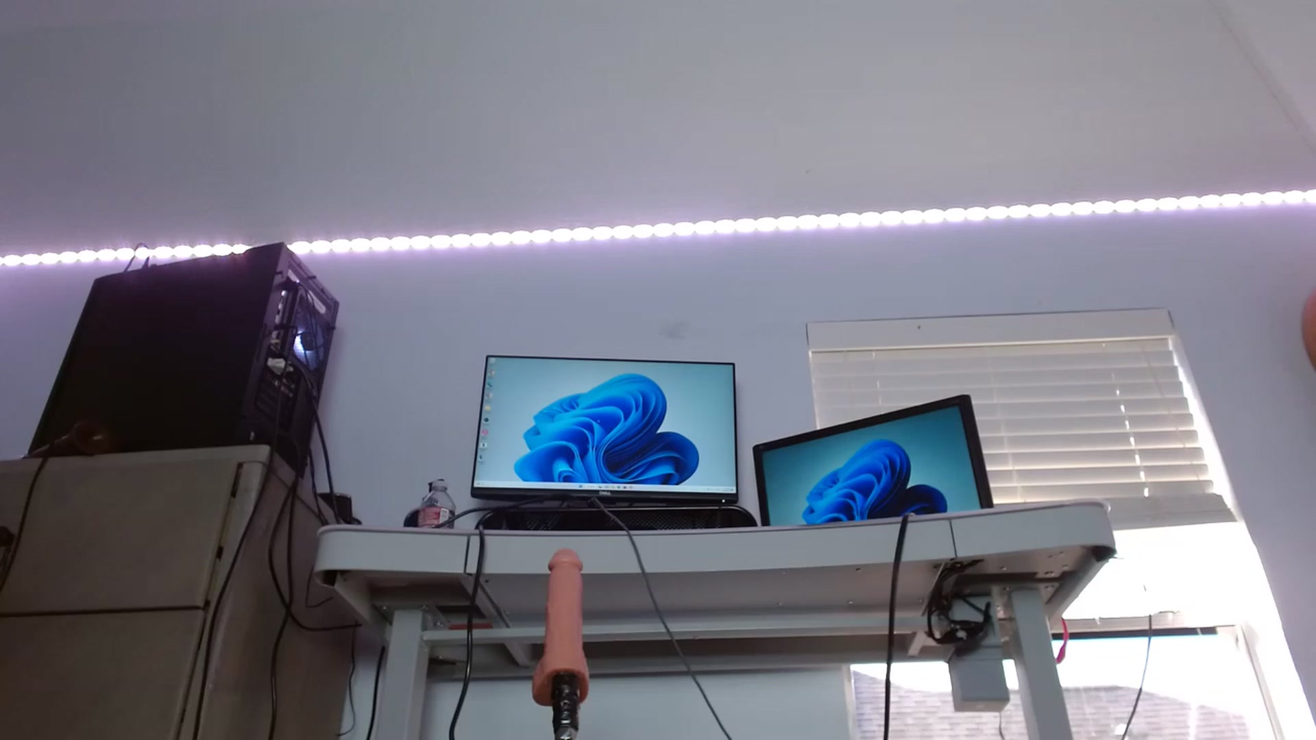 BunnyNextDoor video thumbnail