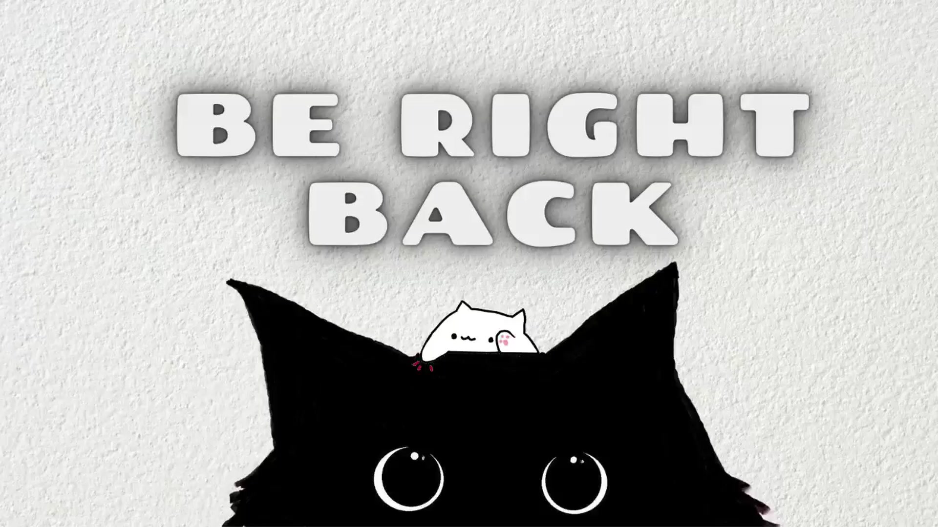 Meowlexx video thumbnail