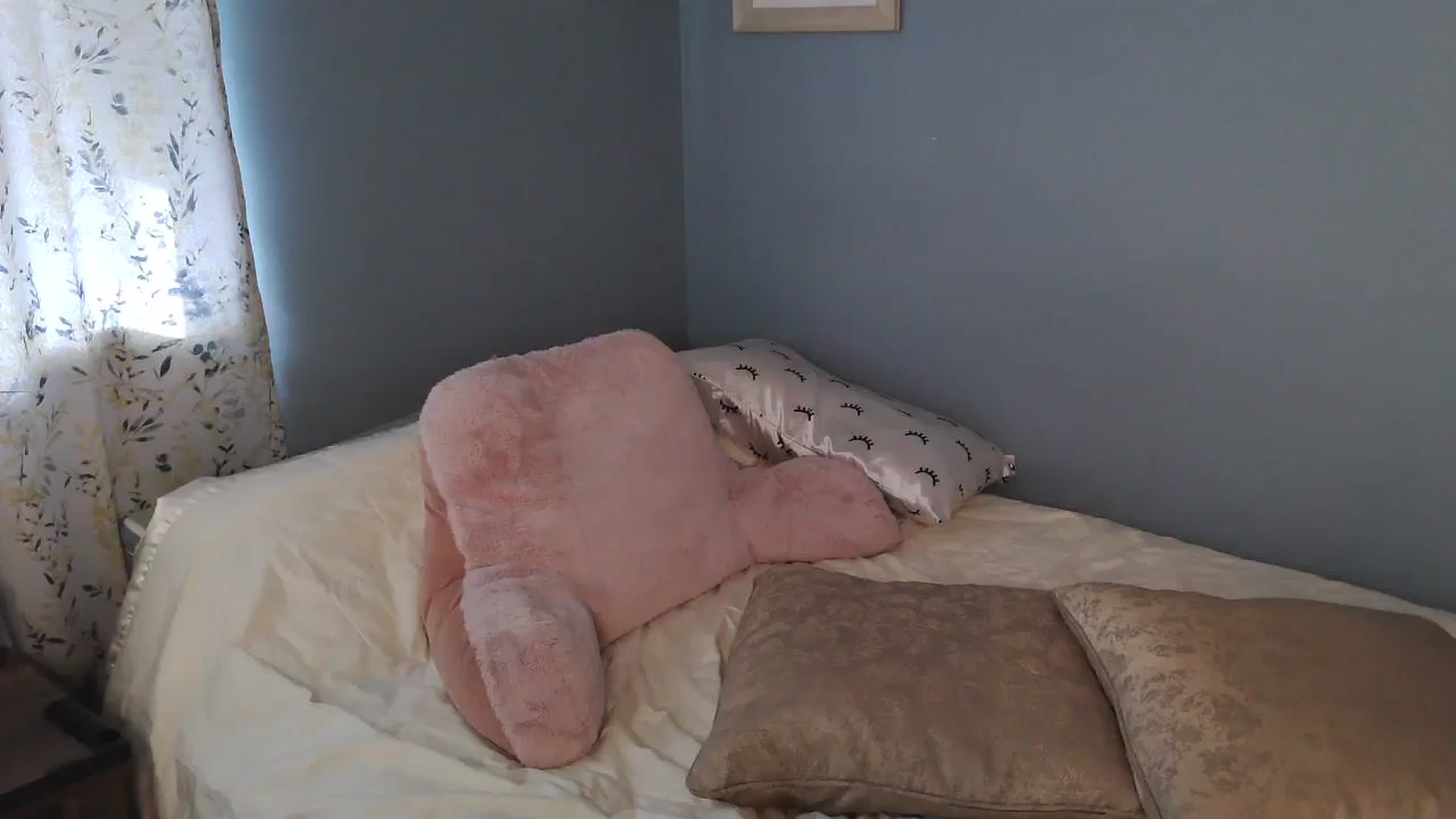 sapphirefox video thumbnail
