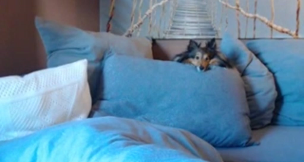 Saandruskka video thumbnail