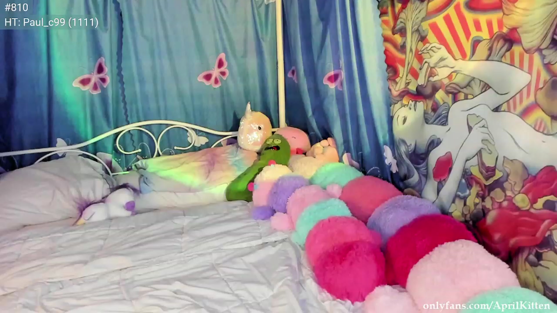 JediKitten video thumbnail