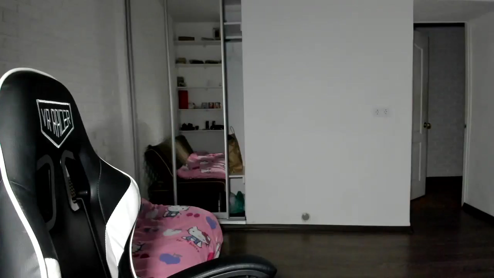 RoboSasha video thumbnail