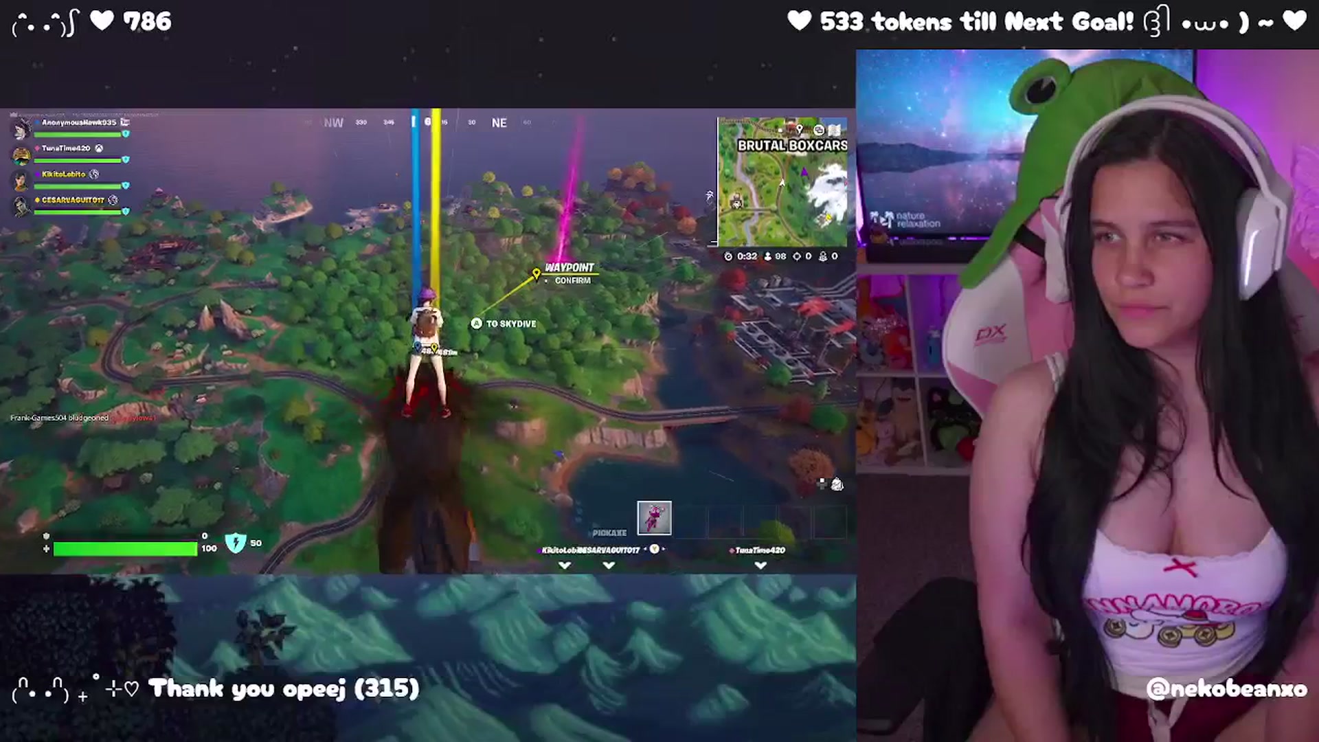 Nekobeanxo video thumbnail