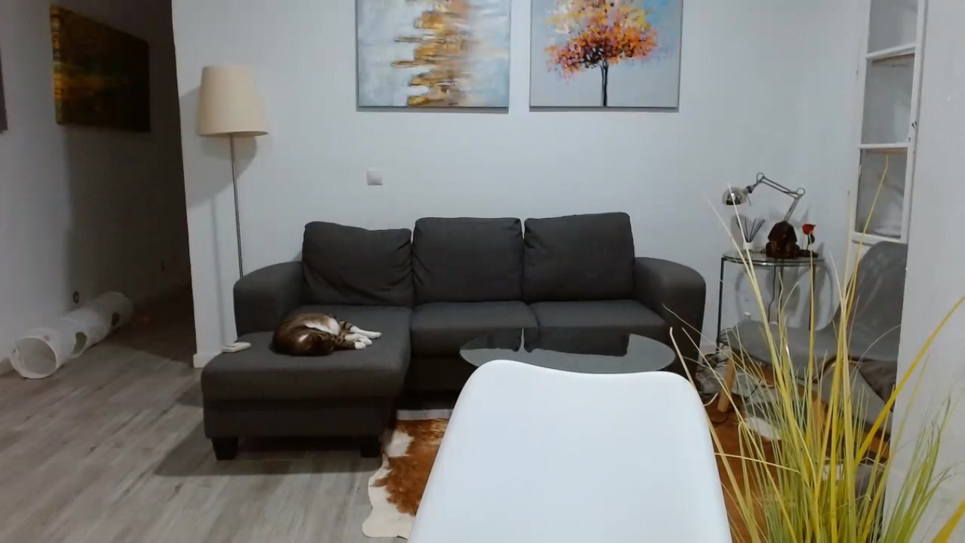 Video Poster