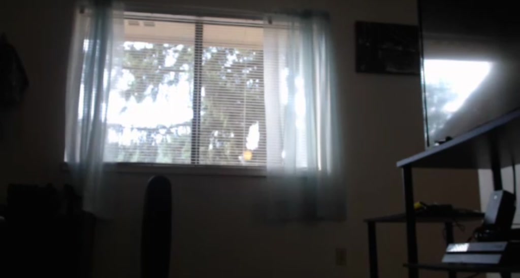 BigButtBooty video thumbnail