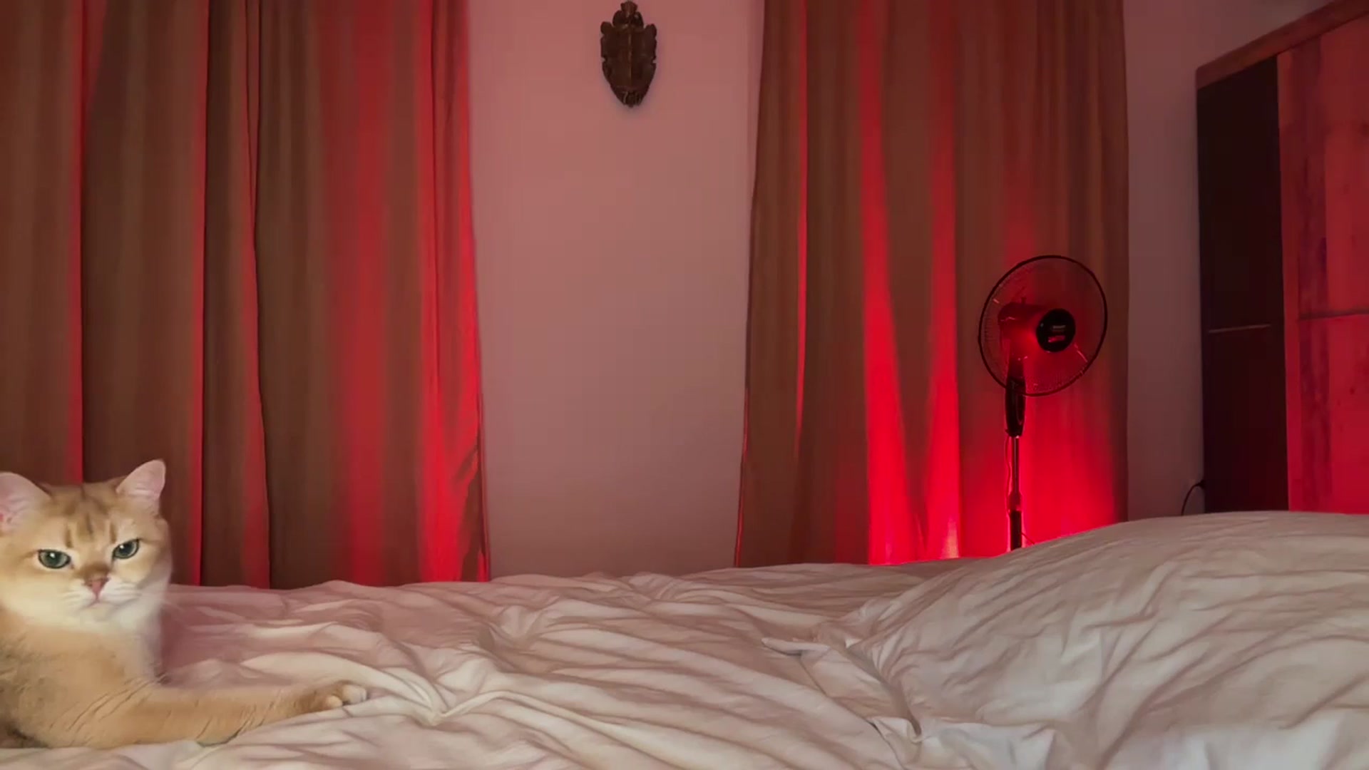 UGLYGIRL_ video thumbnail