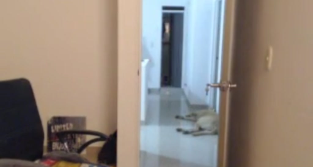 DaB0otyXx video thumbnail