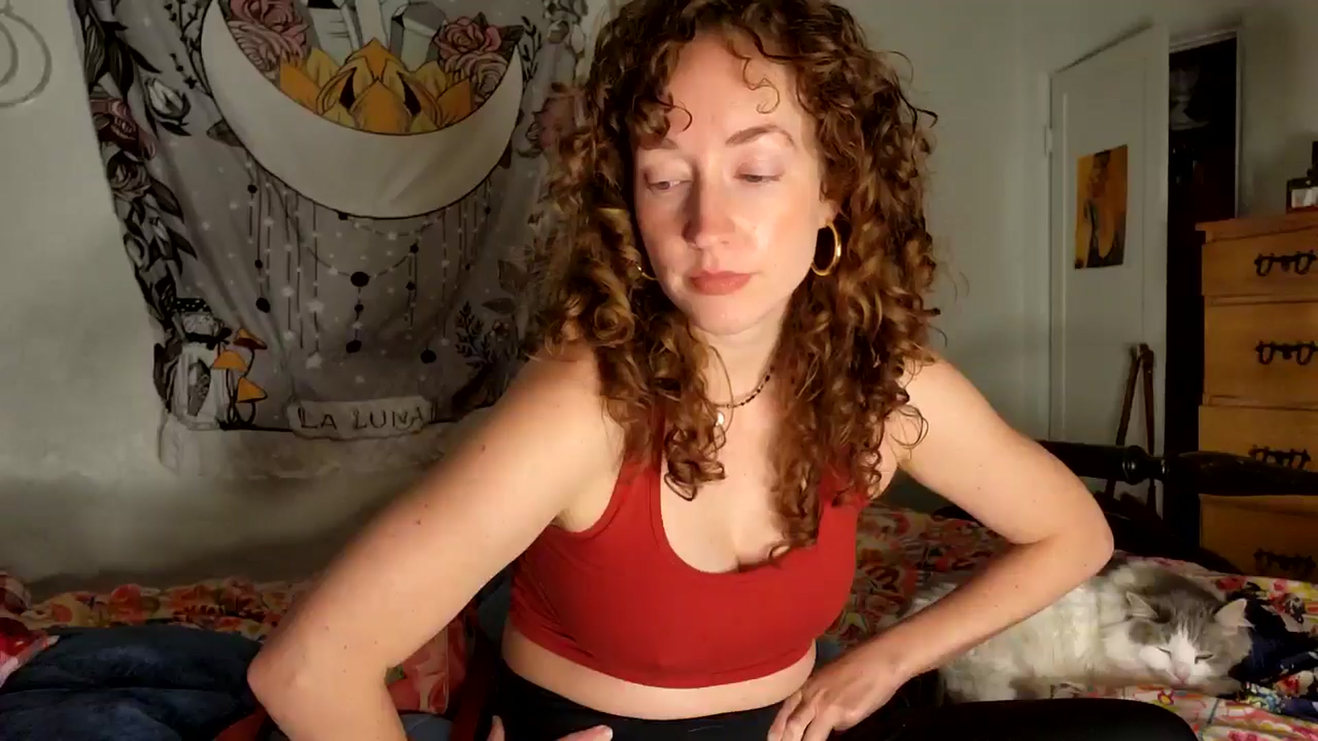 TrollopTaylor video thumbnail