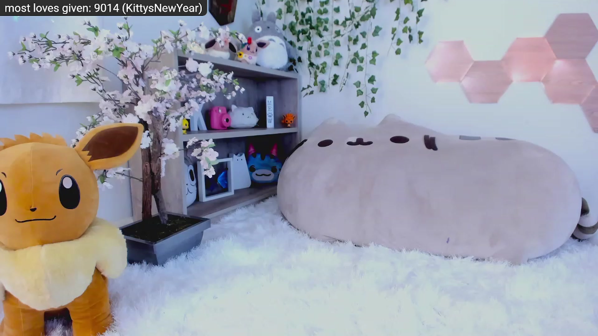 Kitty video thumbnail