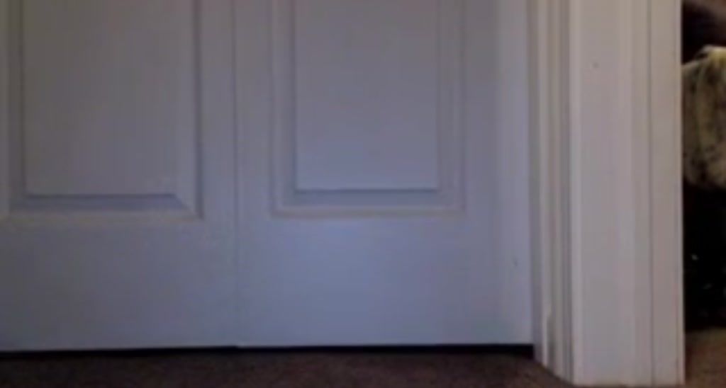 Kemply video thumbnail