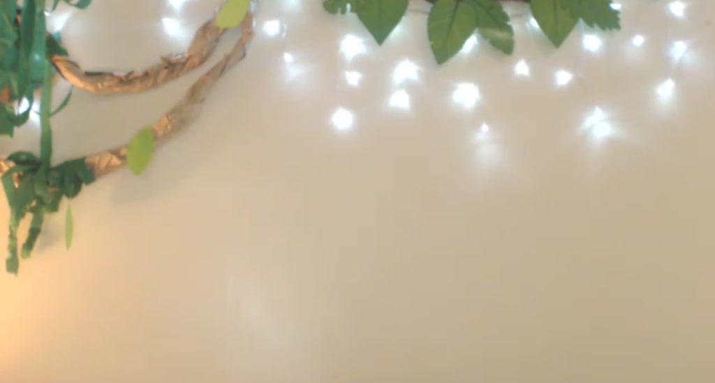 Forest_nymph video thumbnail