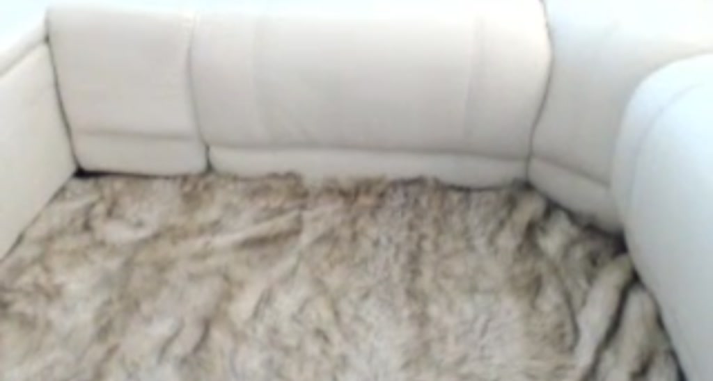 BellaReis video thumbnail