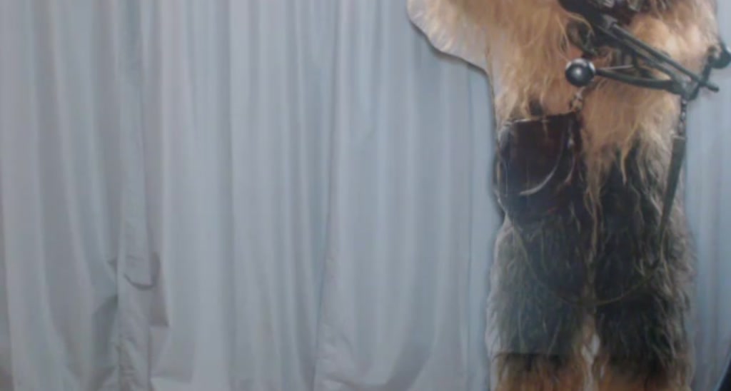 poison_remedy video thumbnail