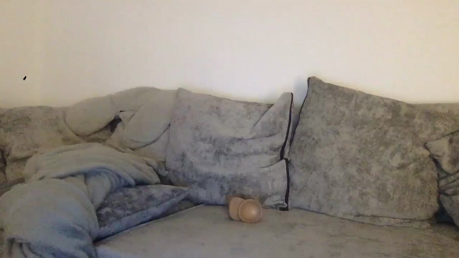 Barbxie video thumbnail