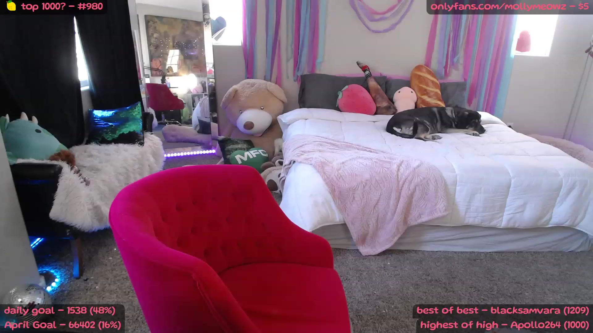 MollyMeowz video thumbnail