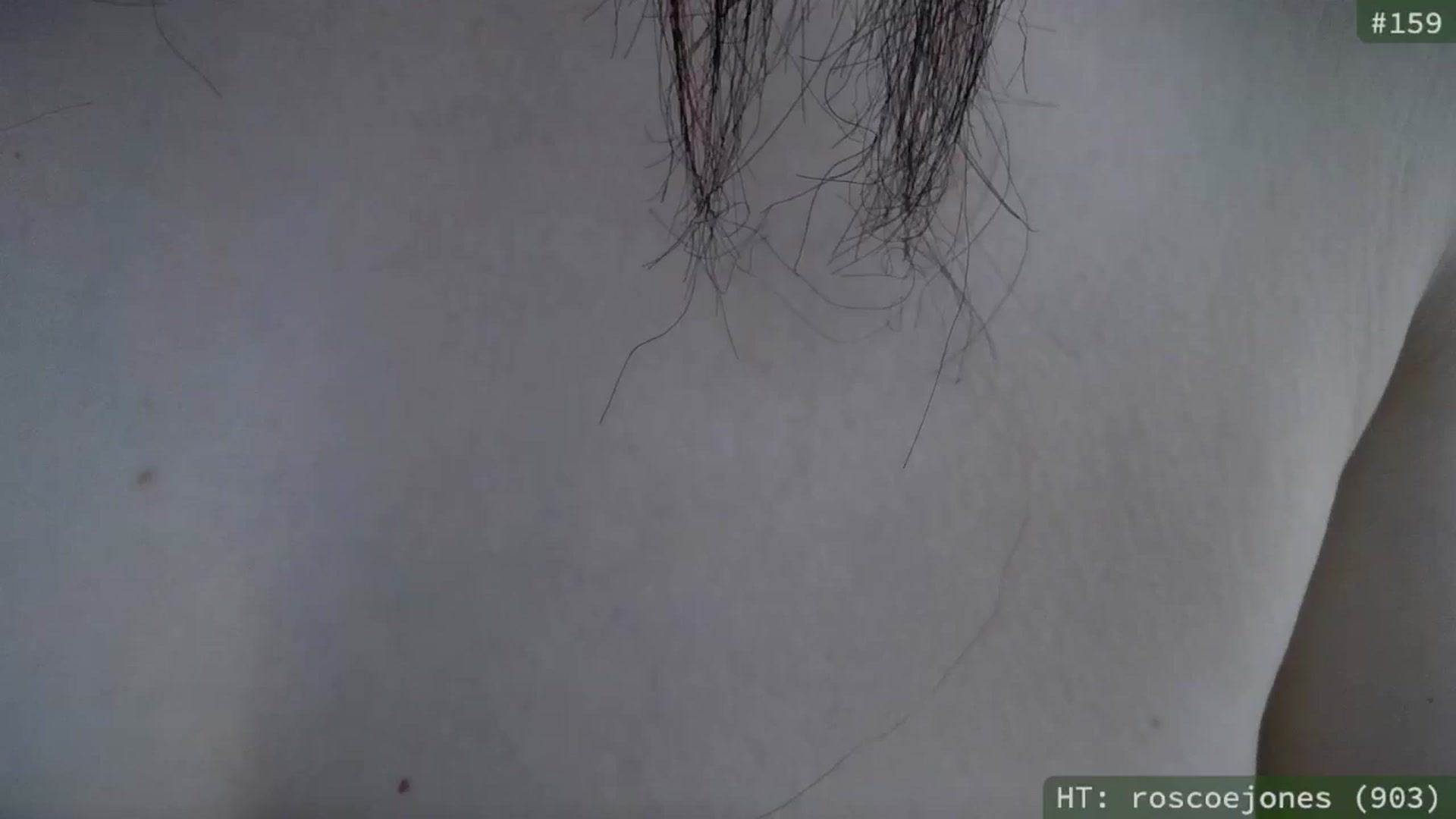 meowgical video thumbnail