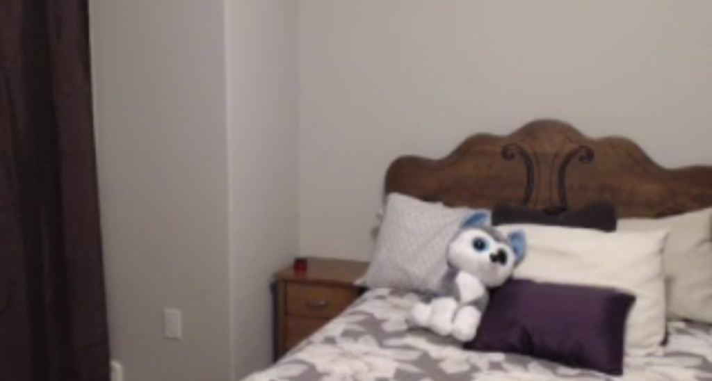 Payslee video thumbnail