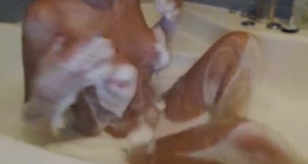 NapQueen video thumbnail