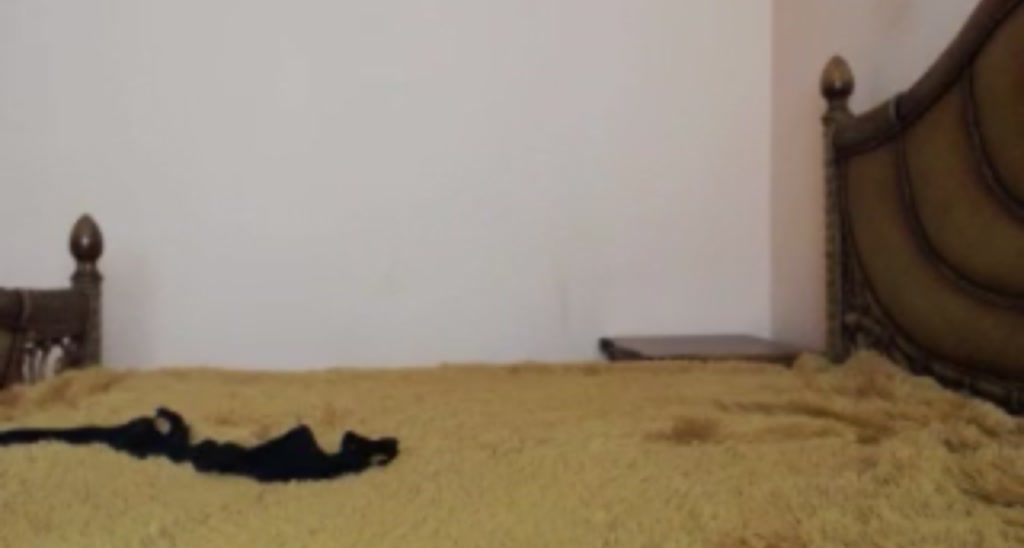 Gray_Emma video thumbnail
