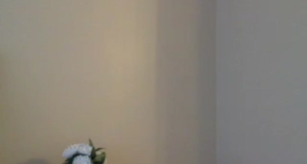 PaigeBurke video thumbnail