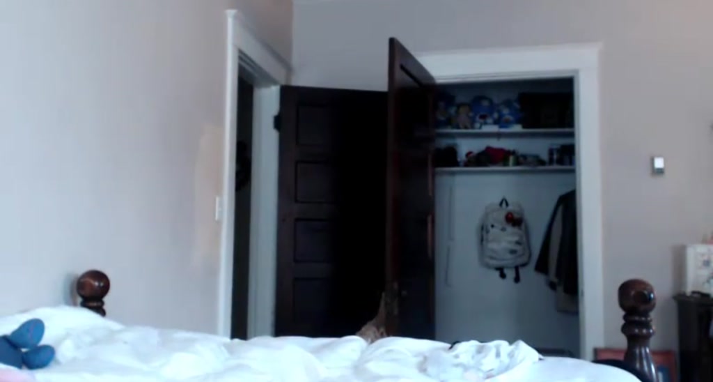 GoldenKittee video thumbnail