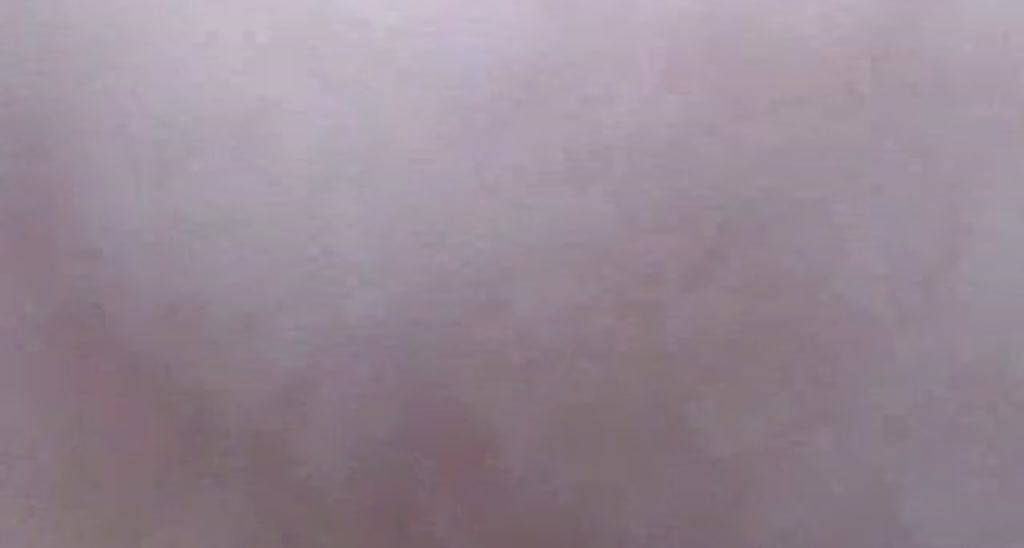 HalleLive video thumbnail