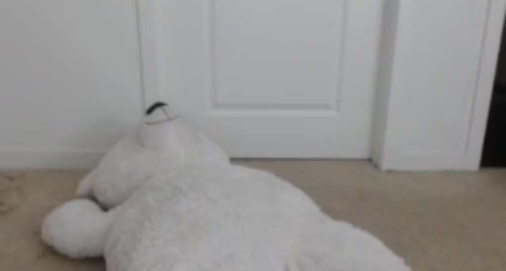 Scar__lett video thumbnail