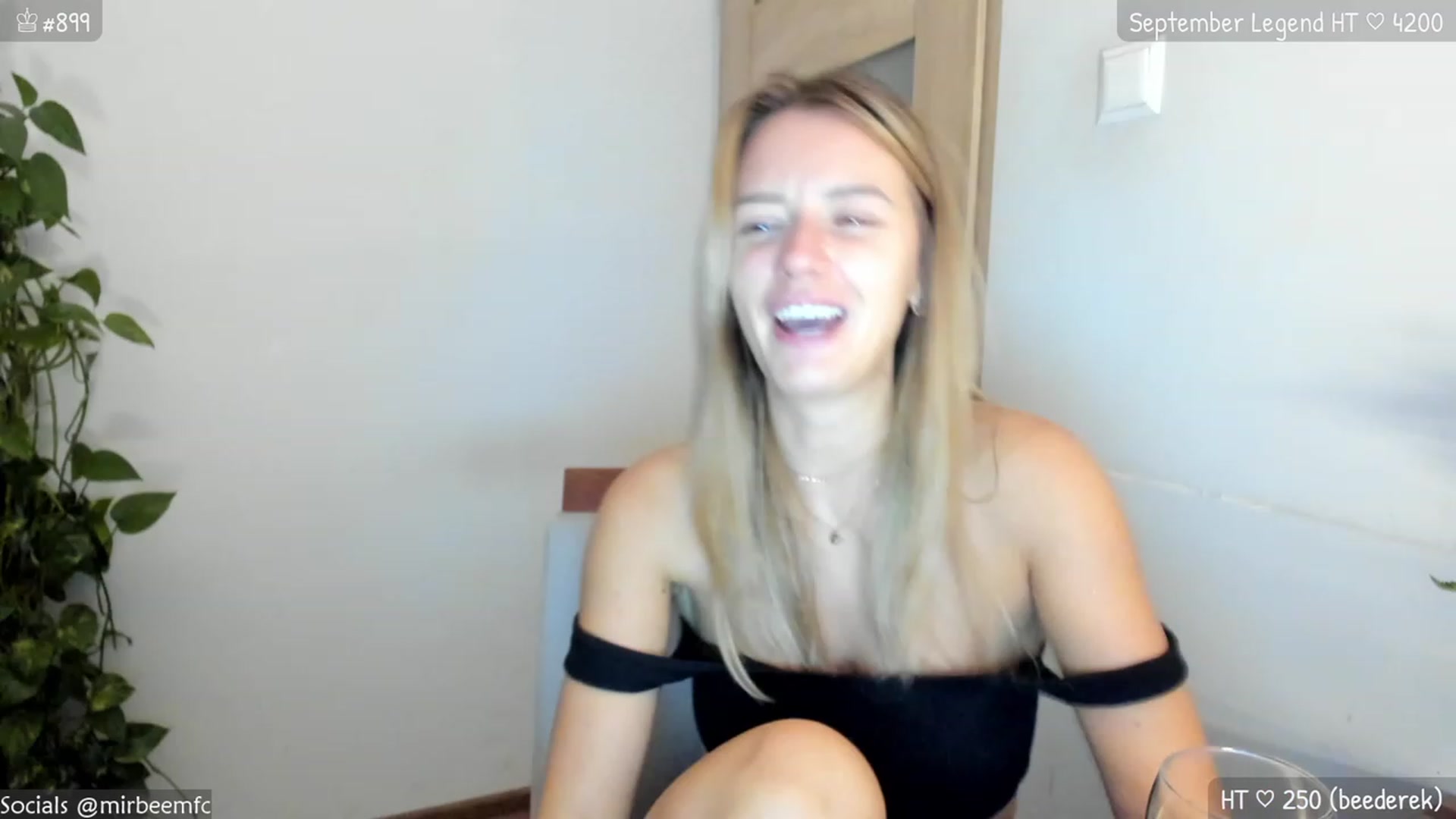 MirBee video thumbnail
