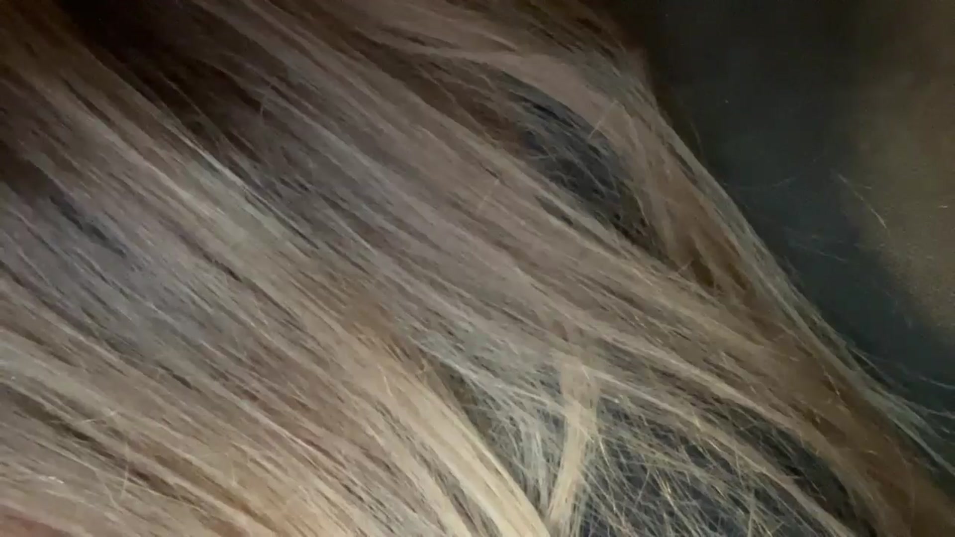 Coconut_dream video thumbnail