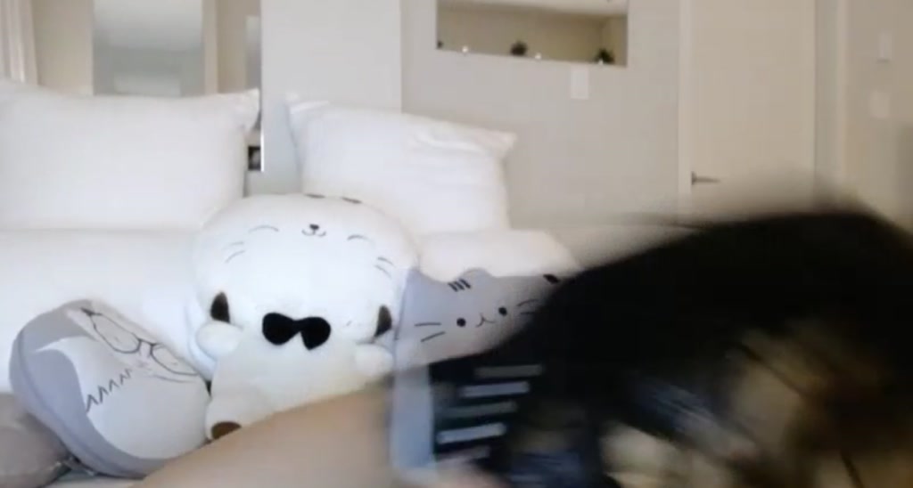 Lemontea video thumbnail