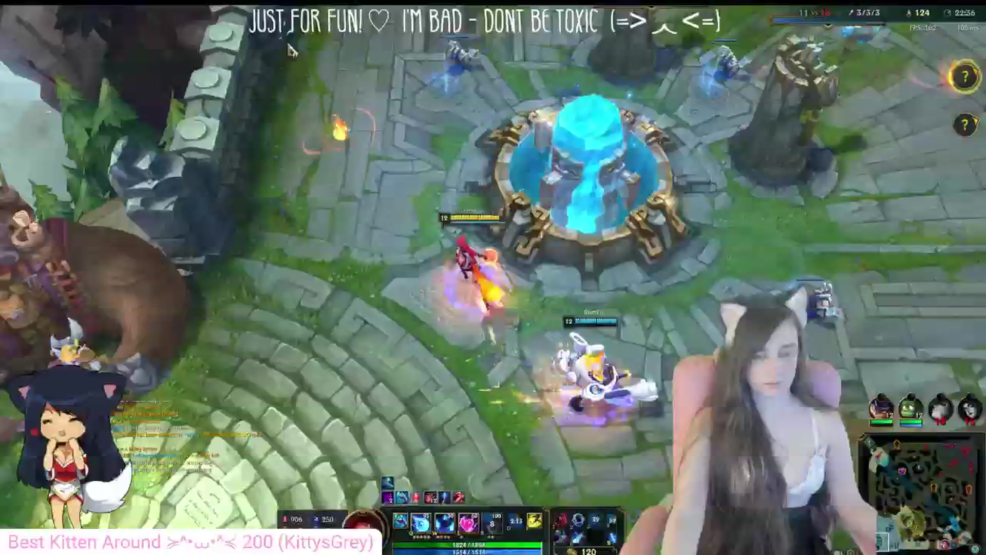 Kitty video thumbnail