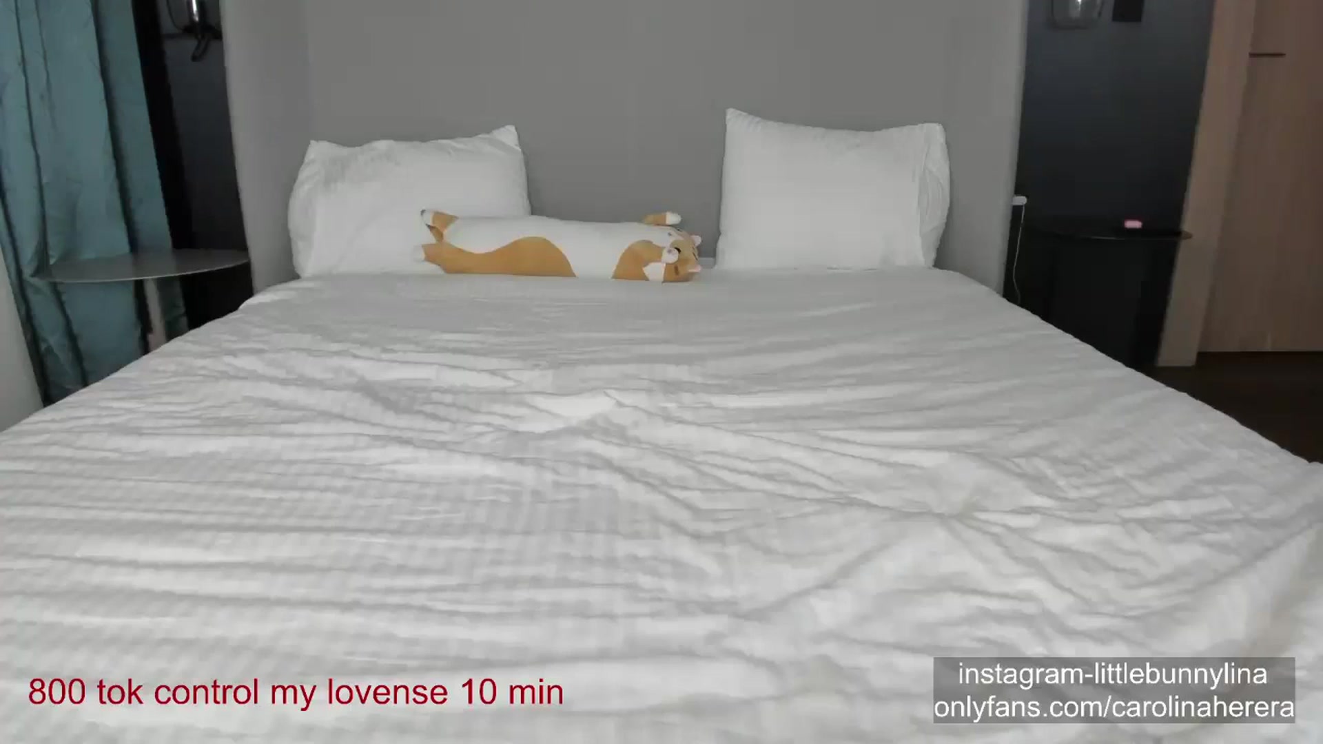 CarolinaHerer video thumbnail