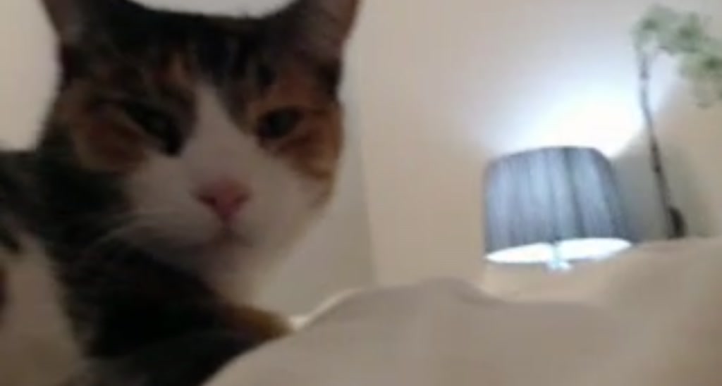 littlemsmusic video thumbnail