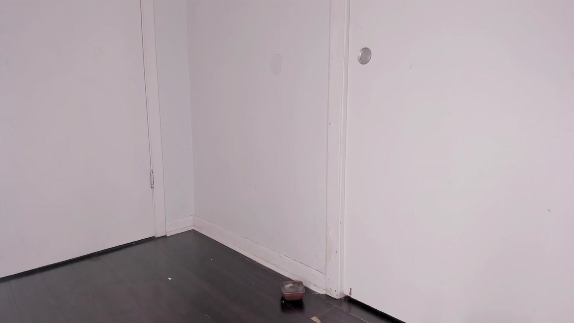 NaomiDee video thumbnail