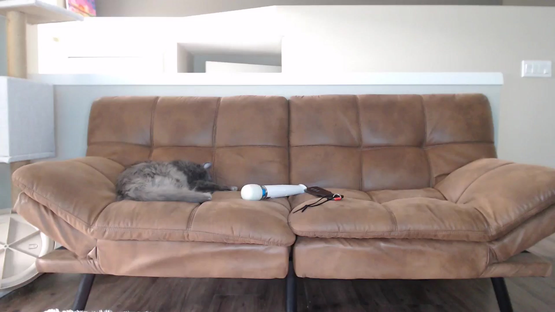 AlexisWildest video thumbnail