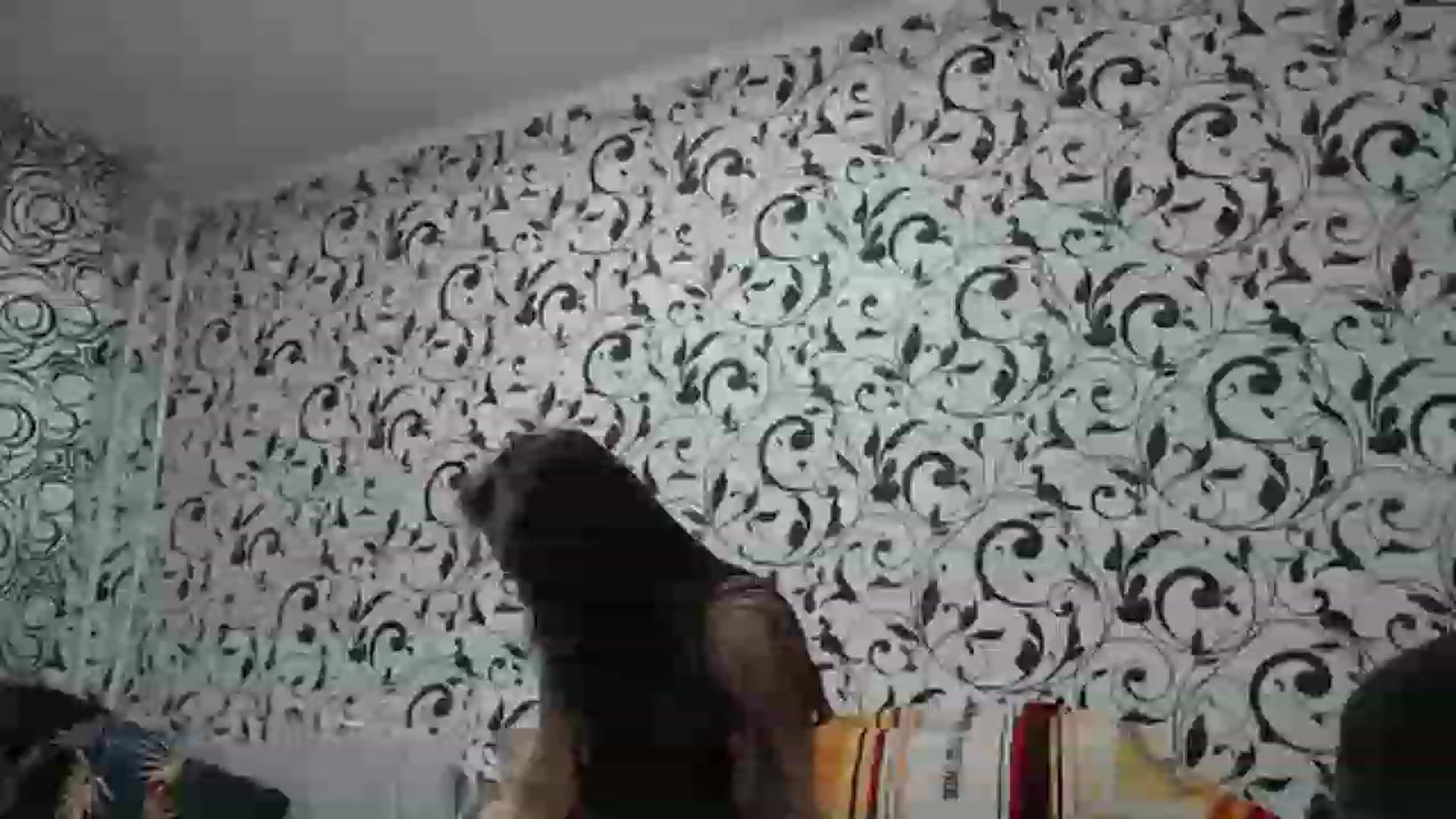 QueenSmile video thumbnail