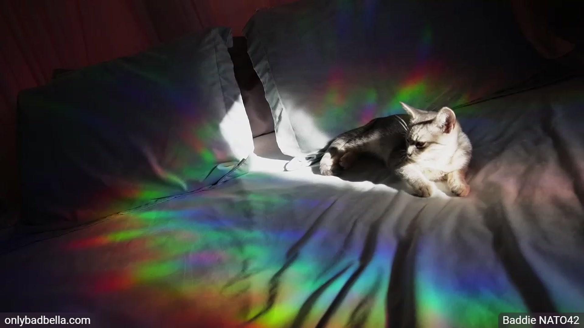 BadBella video thumbnail