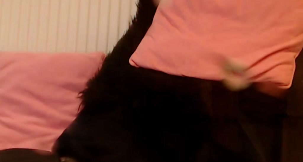 ABRILL video thumbnail